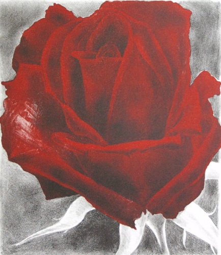 A gardener at midnight: The sick rose I by Kristin Headlam