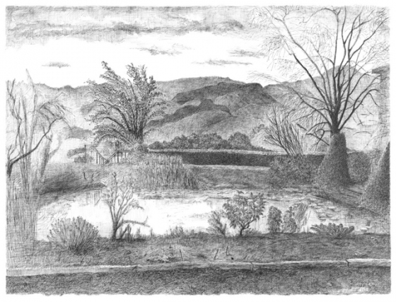 Yarra Valley Pond by Julie Jame