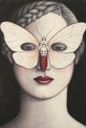 Amerila alberti Moth Mask, Framed by Deborah Klein