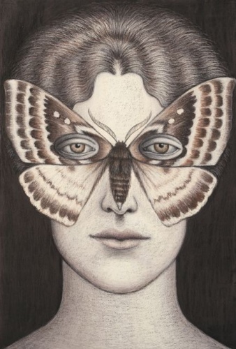 Anthela denticulata Moth Mask, Framed by Deborah Klein