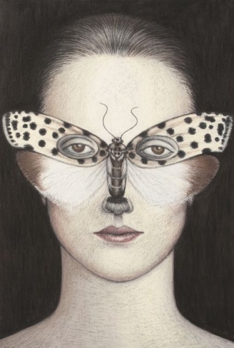 Ethmia clytodoxa Moth Mask, Framed by Deborah Klein