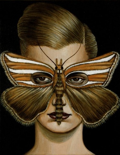 Hednota bivitella Moth Mask   by Deborah Klein