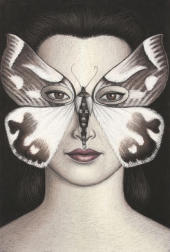 Thalaina kimba Moth Mask, Framed by Deborah Klein