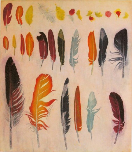 A feather for each wind that blows by Tiffany McNab
