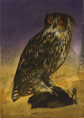 Eagle Owl by Tiffany McNab