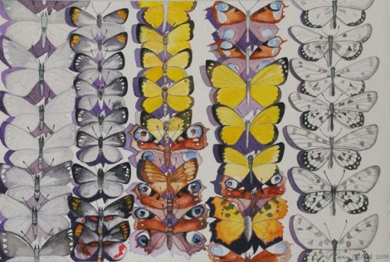 Glasswings by Tiffany McNab