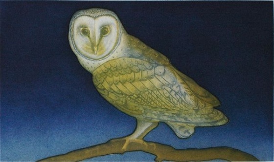Night Owl by Tiffany McNab