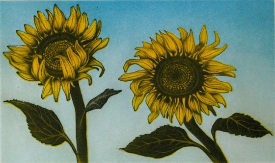 Sunflowers by Tiffany McNab