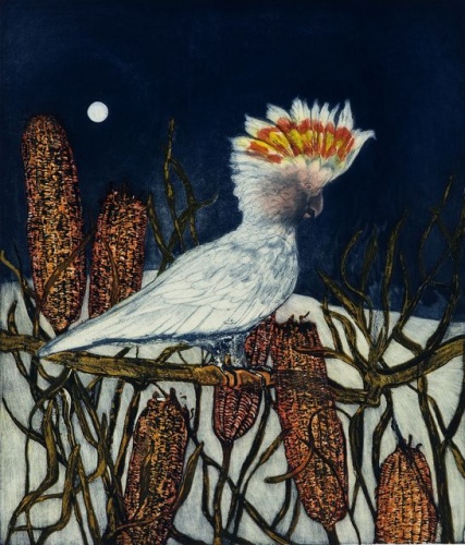 White Cockatoo by Tiffany McNab