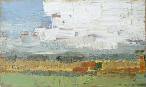 Summer Fields, Yarra Glen by David Moore
