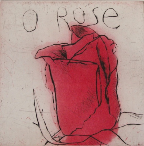 O Rose 1 by Kristin Headlam