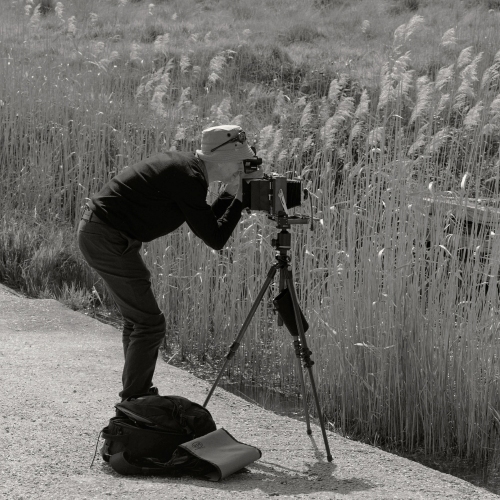 The Photographers. Marc Morel, Nimmons Bridge by David Tatnall